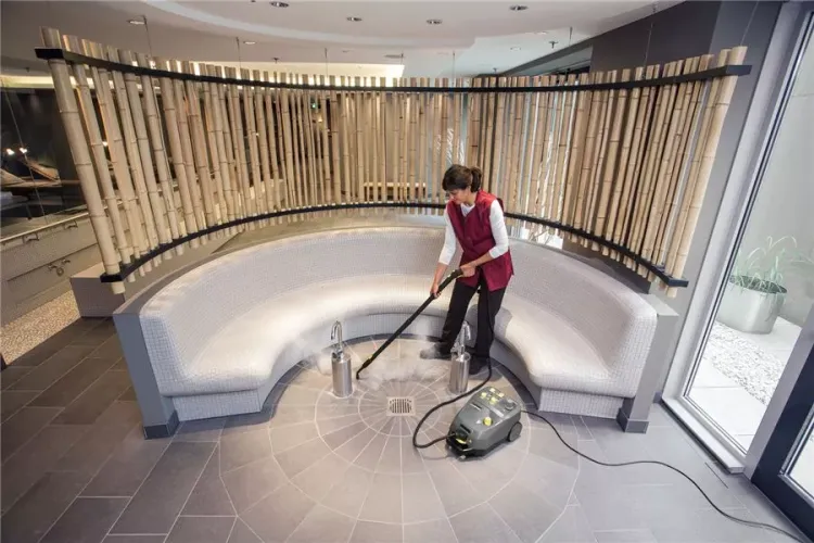 Пароочиститель KARCHER SG 4/4 профи купить в Екатеринбурге