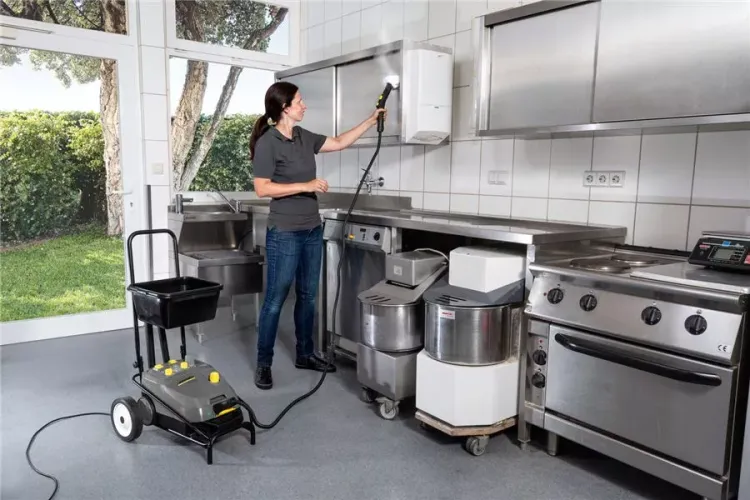 Пароочиститель KARCHER SG 4/4 профи купить в Екатеринбурге