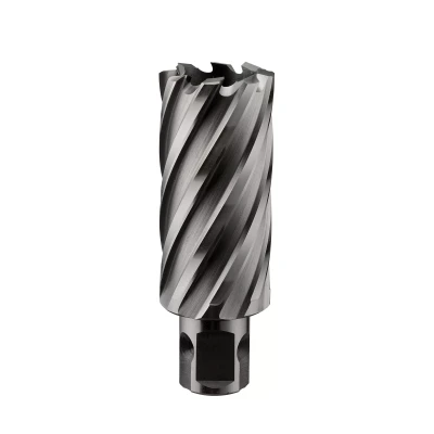 Сверло корончатое ALTECO HSS 22x50 22466