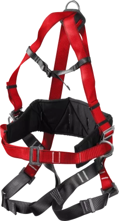 Удерживающая привязь 3 точки крепления серия Без серии купить в Екатеринбурге