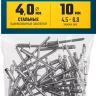 ЗУБР 4.0 x 10 мм, 50 шт, стальные заклепки, Профессионал (313126-40-10) купить в Екатеринбурге