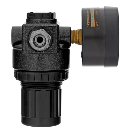 Регулятор давления с манометром Denzel R1500, 12 бар, 1/4&quot;, 57491 купить в Екатеринбурге