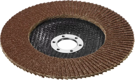 Круг шлифовальный STAYER &quot;PROFI&quot; лепестковый торцевой, зерно-электрокорунд нормальный, тип КЛТ 1, P40, 125х22,2мм 36581-125-040 купить в Екатеринбурге