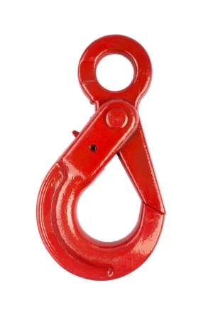 Крюк самозакрывающийся с проушиной TOR 5,3 т (W) 1046135 купить в Екатеринбурге