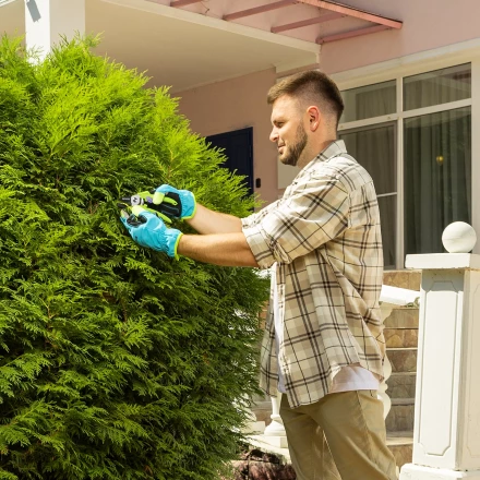 Секатор с наковальней Palisad, 190 мм, пластиковые рукоятки 60454 купить в Екатеринбурге