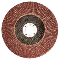 Круг лепестковый торцевой P 24 180 х 22,2 мм MTX 740729