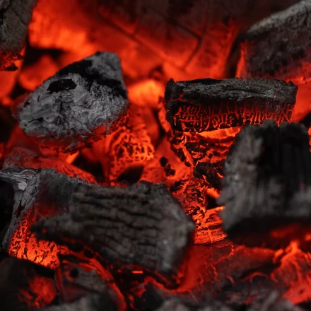 Уголь берёзовый, 5 кг Россия Camping Palisad 69662 купить в Екатеринбурге