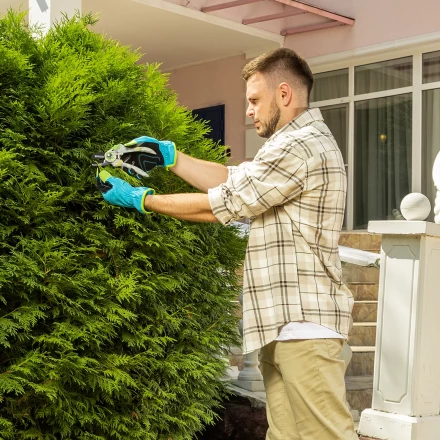 Секатор с наковальней Palisad, 210 мм, пластиковые рукоятки, 60465 купить в Екатеринбурге