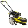 Газонокосилка CHAMPION LMH 5629 купить в Екатеринбурге