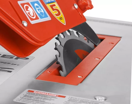 Станок распиловочный ЗПДС-200-800 серия МАСТЕР купить в Екатеринбурге