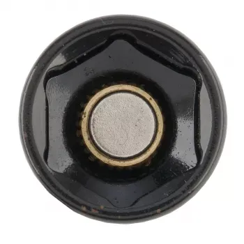 БИТА GROSS С ТОРЦЕВОЙ ГОЛОВКОЙ NUT-DRIVER С МАГНИТОМ, 13ММ, S2 11623 купить в Екатеринбурге