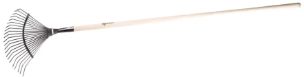 Грабли ЗУБР "ЭКСПЕРТ" веерные из нержавеющей стали, деревянный черенок из ясеня, 16 круглых зубцов, 440х360х1735мм 4-39451_z01 купить в Екатеринбурге
