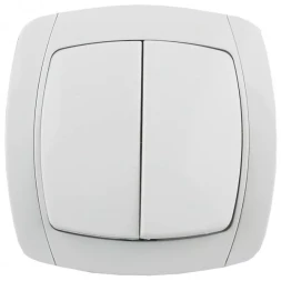 Выключатель СВЕТОЗАР &quot;CITY LIGHT&quot; двухклавишный в сборе, белый, 10А/~250В SV-54234-W