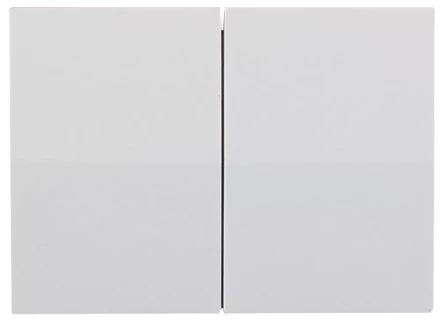 Выключатель СВЕТОЗАР &quot;ЭФФЕКТ&quot; двухклавишный, без вставки и рамки, цвет белый, 10A/~250B SV-54434-W купить в Екатеринбурге