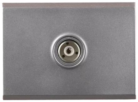 Розетка СВЕТОЗАР "ЭФФЕКТ" телевизионная, без вставки и рамки, цвет светло-серый металлик SV-54415-SM купить в Екатеринбурге