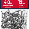 ЗУБР 4.0 x 12 мм, 50 шт, алюминиевые заклепки, Профессионал (313106-40-12) купить в Екатеринбурге