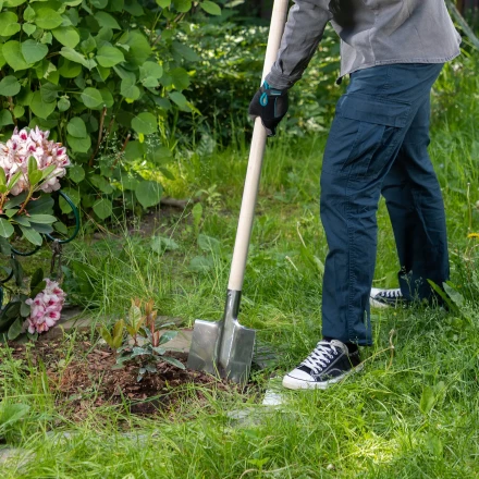 Лопата штыковая, нержавеющая сталь Сибртех, 200х265 мм, ребра жесткости, без черенка, Россия 614375 купить в Екатеринбурге
