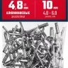 ЗУБР 4.8 x 10 мм, 50 шт, алюминиевые заклепки, Профессионал (313106-48-10) купить в Екатеринбурге