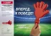 Ладошка-хлопушка болельщика пластиковая, ЗУБР 69999 купить в Екатеринбурге